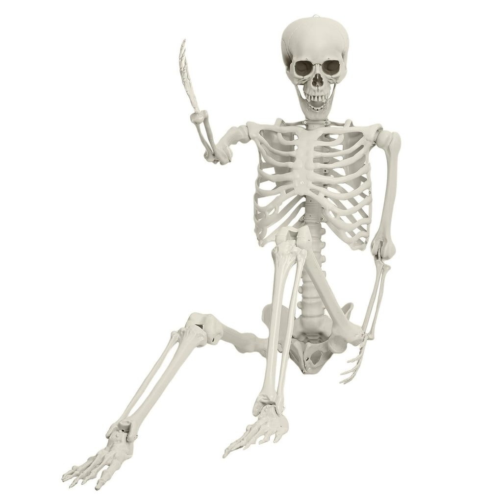 5.4FT Poseable Skeleton with Movable Joints Y9800