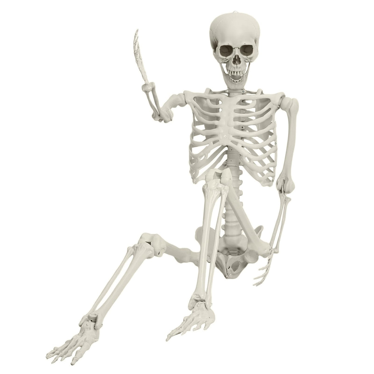 5.4FT Poseable Skeleton with Movable Joints Y9800