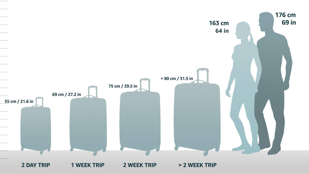 Black Expandable Spinner Carry-on 19" H526
