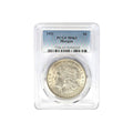 Morgan Silver Dollar R24021