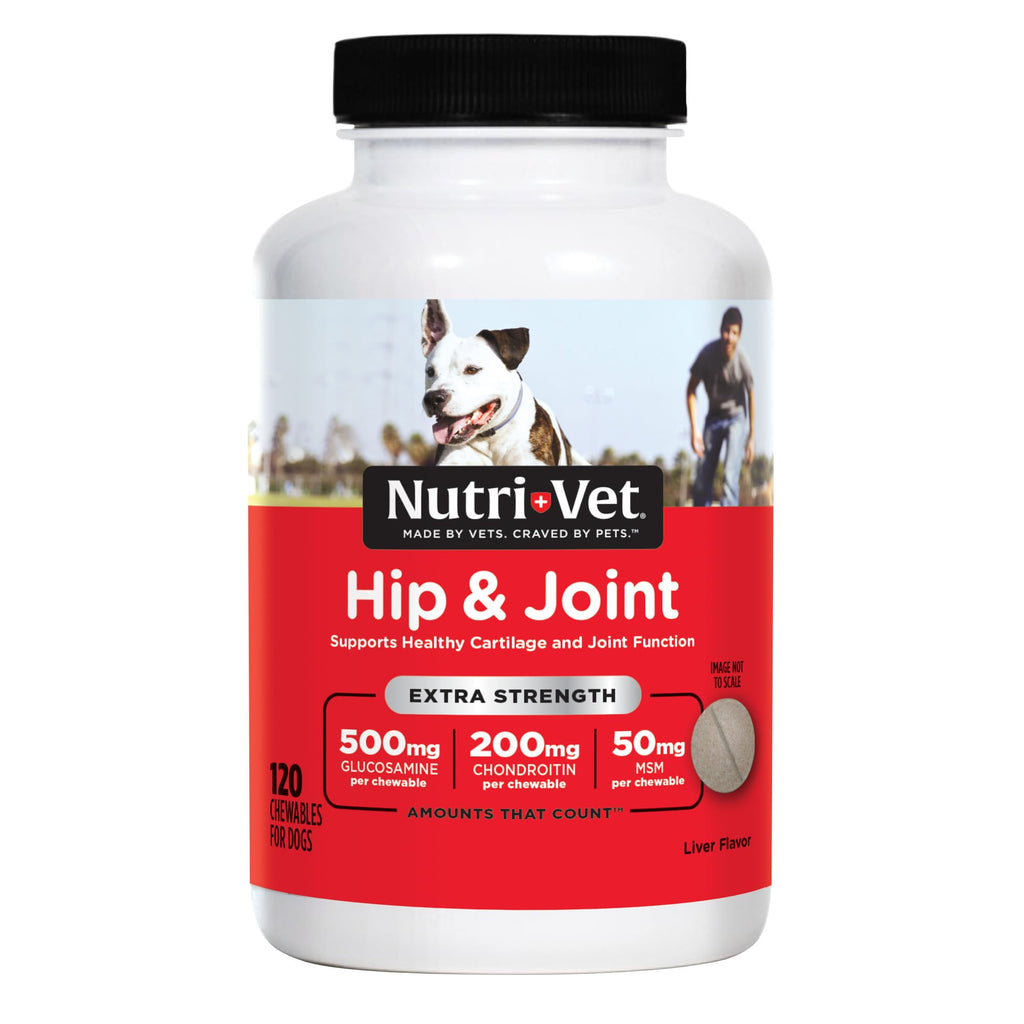 500mg Glucosamine Hip & Joint Supplement, 120 Ct I878