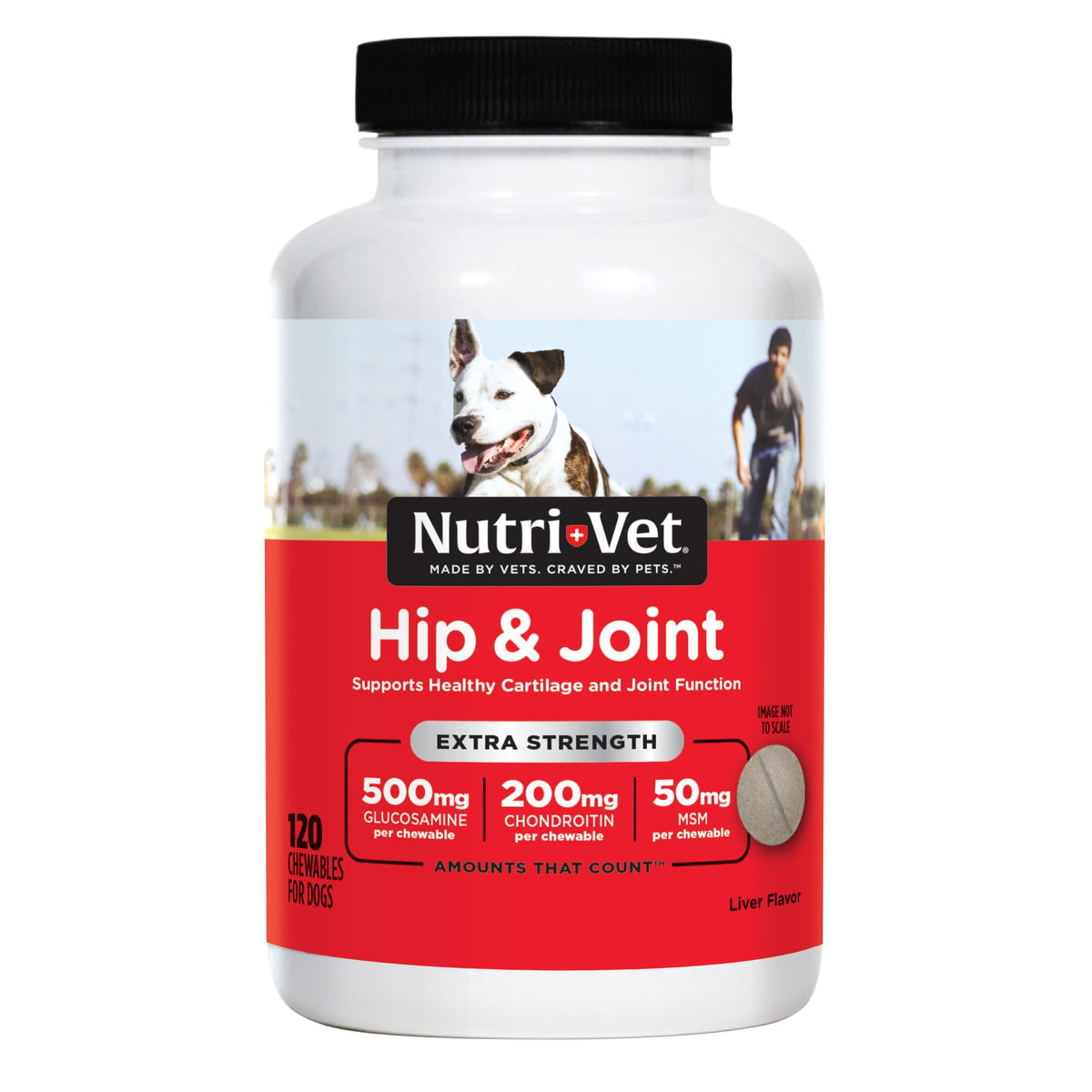 500mg Glucosamine Hip & Joint Supplement, 120 Ct I878