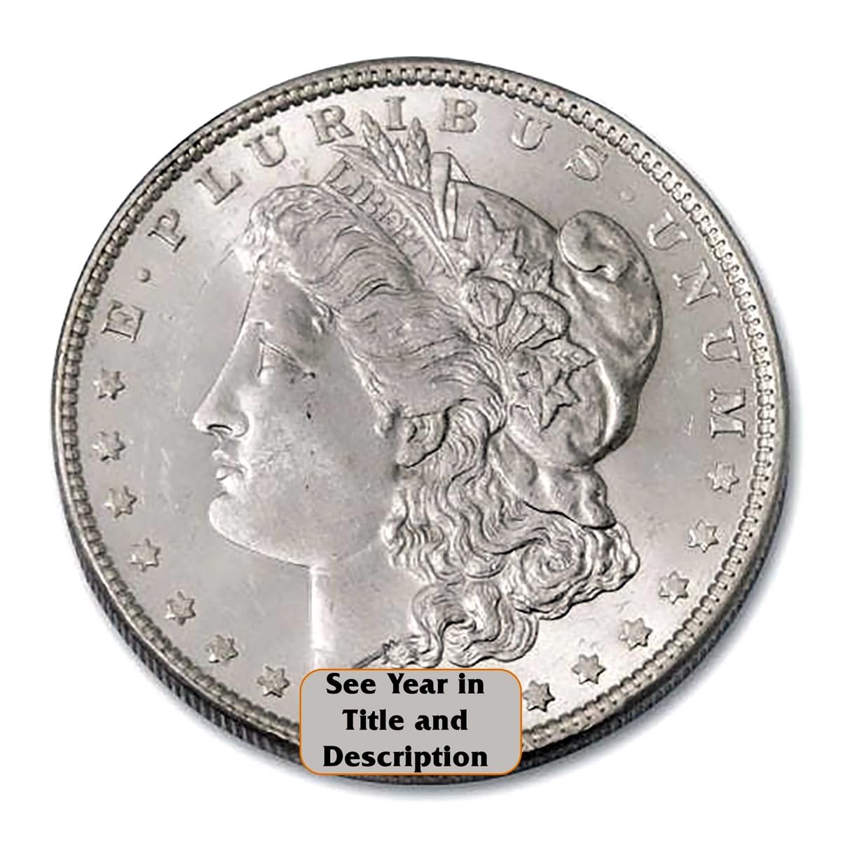 Morgan Silver Dollar R24021