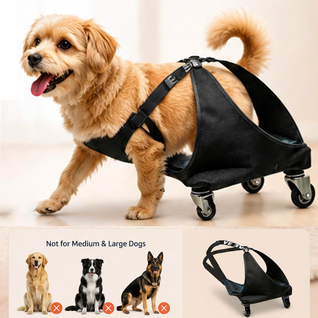 Small Dog or Cat Wheelchair for Back Legs F1447