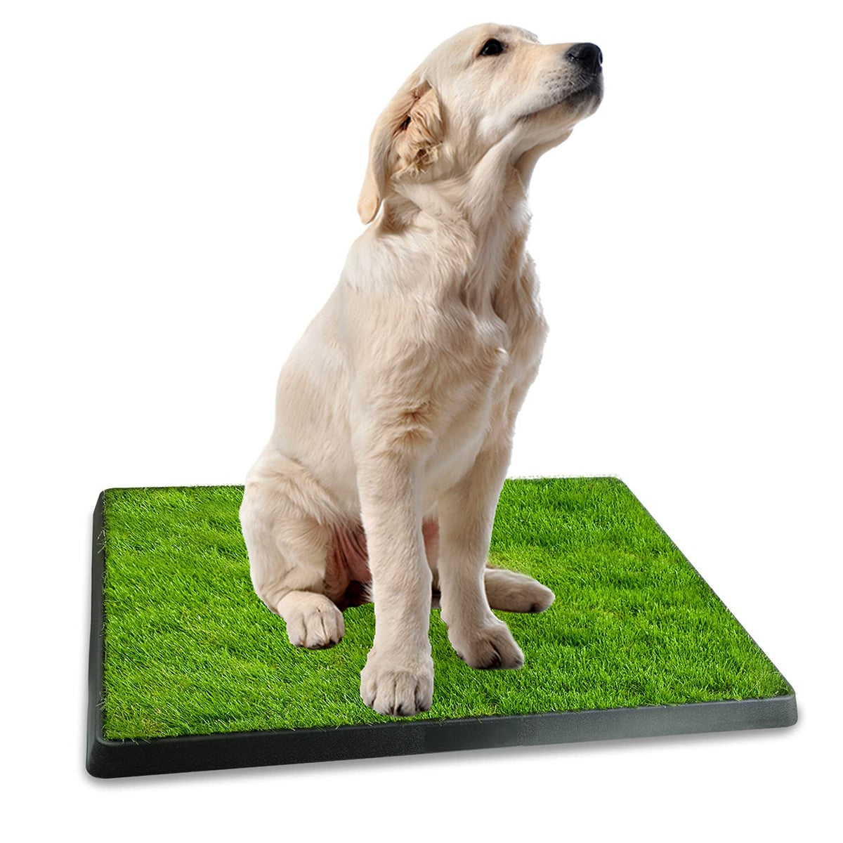 Indoor Dog Toilet Puppy Training Pad U677034