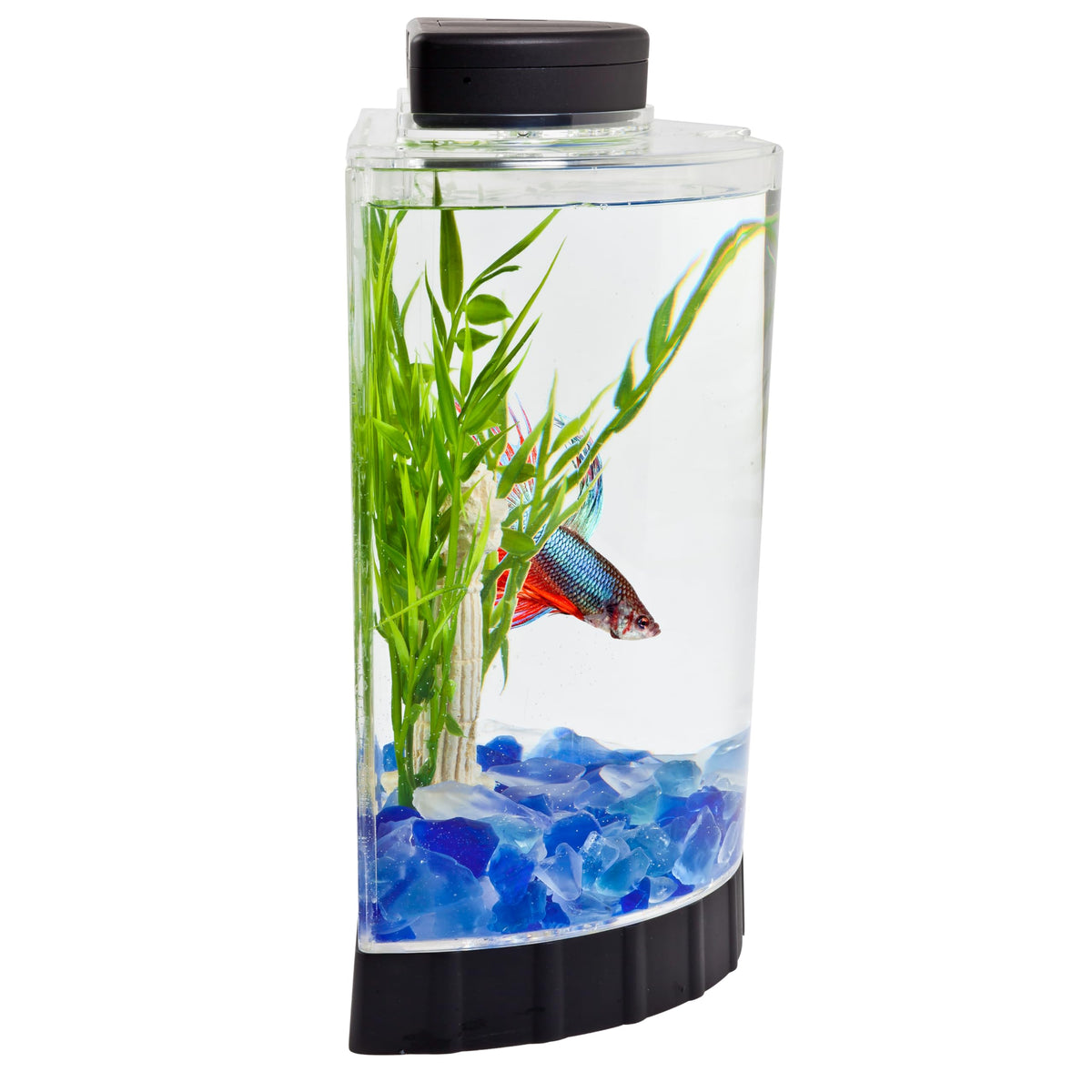 1.1 Gallon Fish Tank Kit Z93907