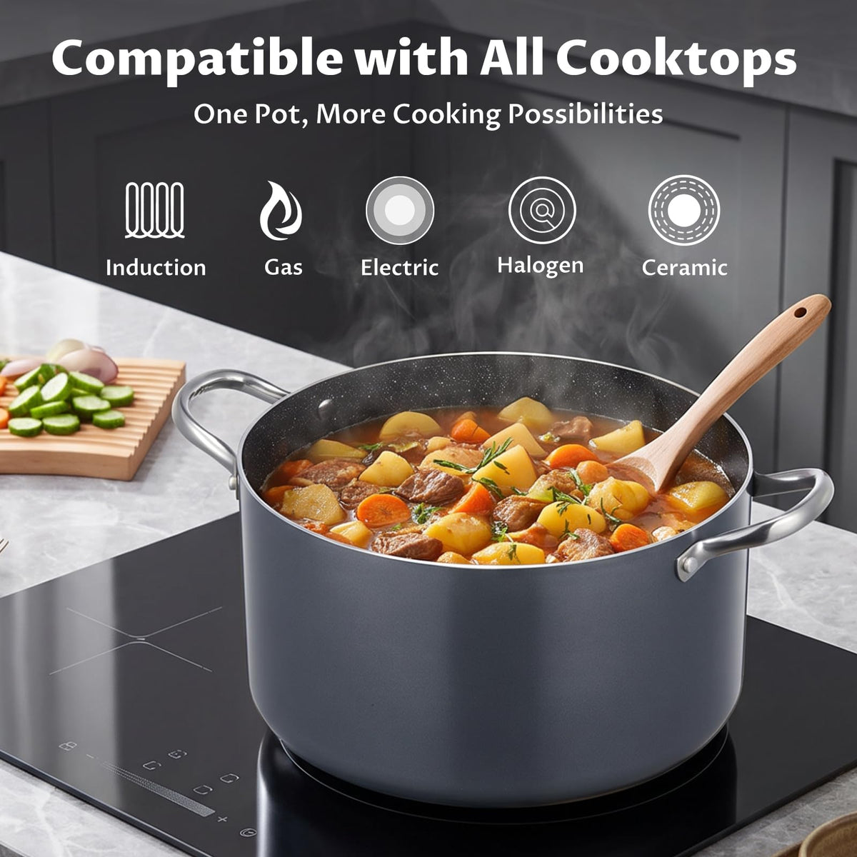 12 Quart Nonstick Stock Pot with Lid E984
