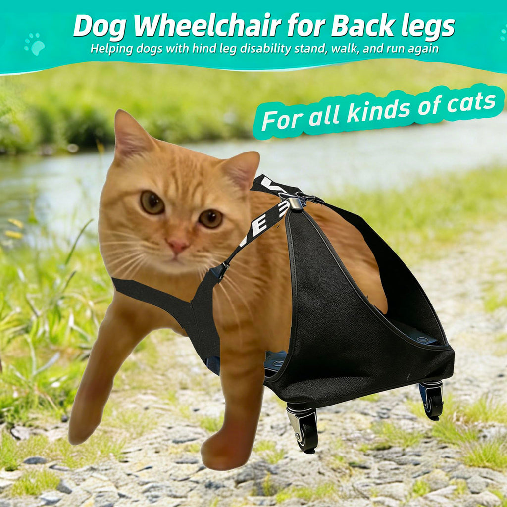 Small Dog or Cat Wheelchair for Back Legs F1447