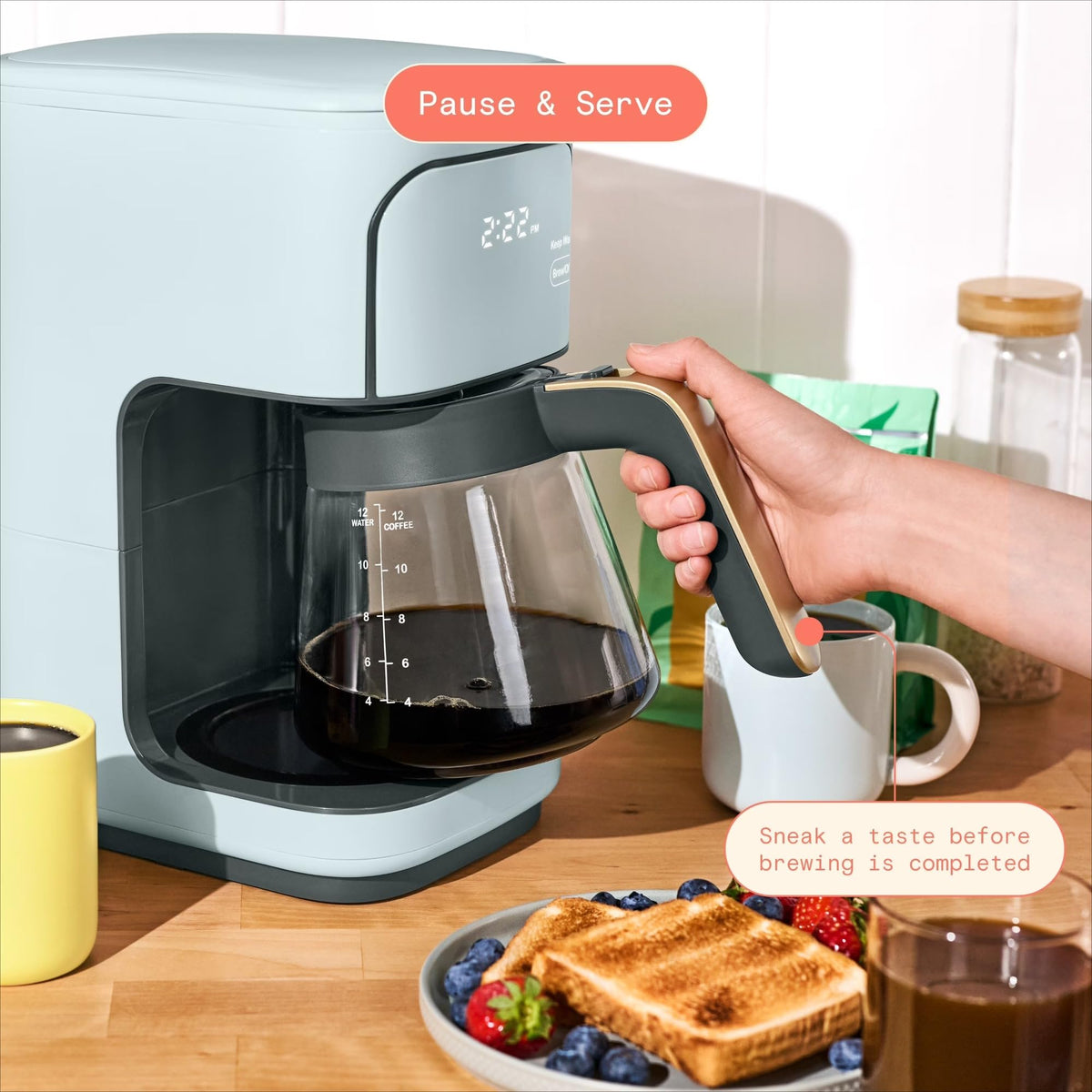 12-Cup Programmable Drip Coffee Maker C8589
