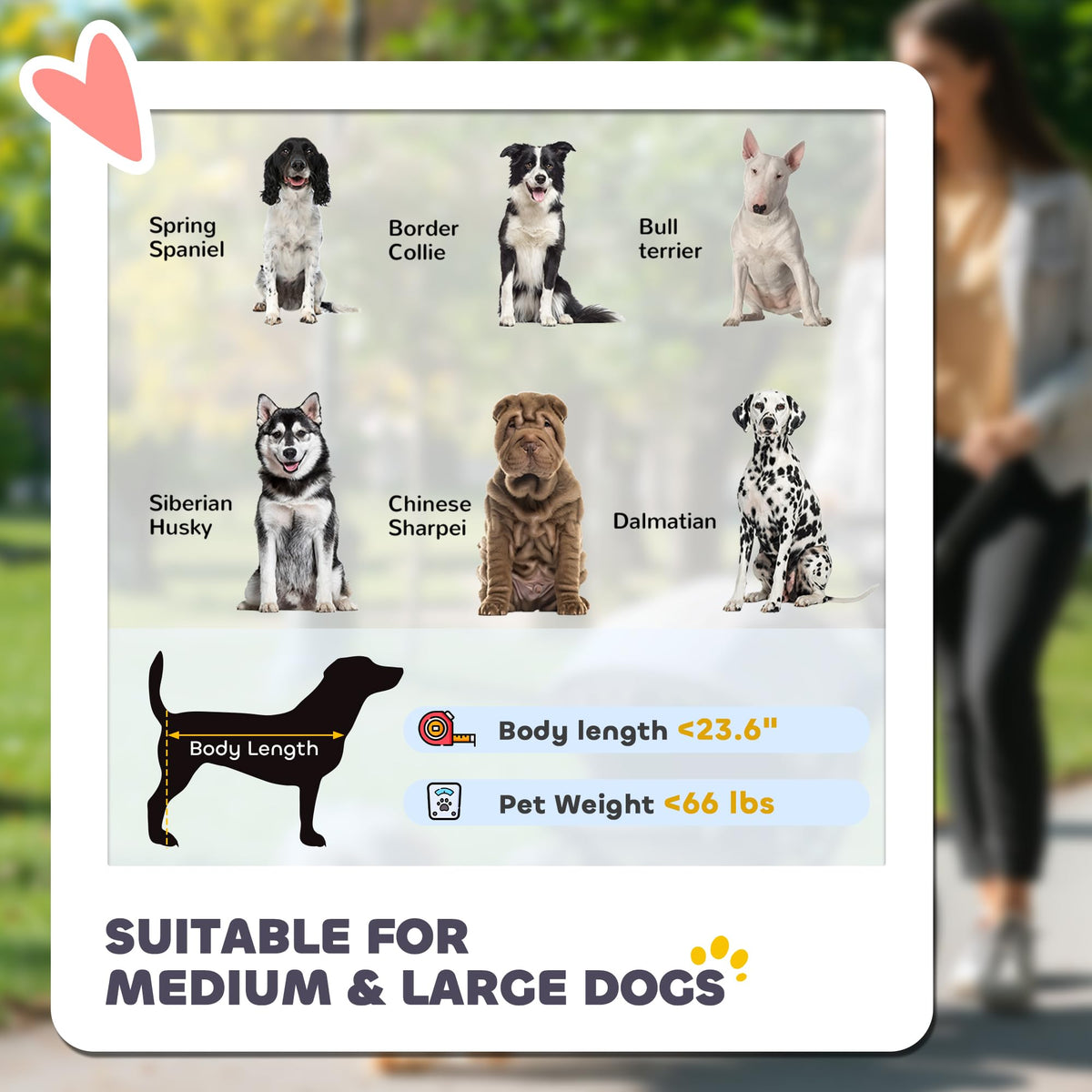 Foldable Dog Stroller with Storage Gray I890582