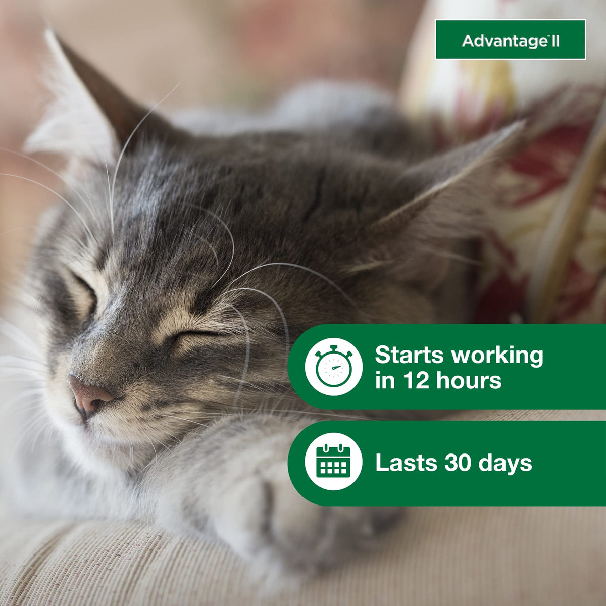 Advantage II Small Cat Topical Flea Treatment & Prevention, 2ct G510397