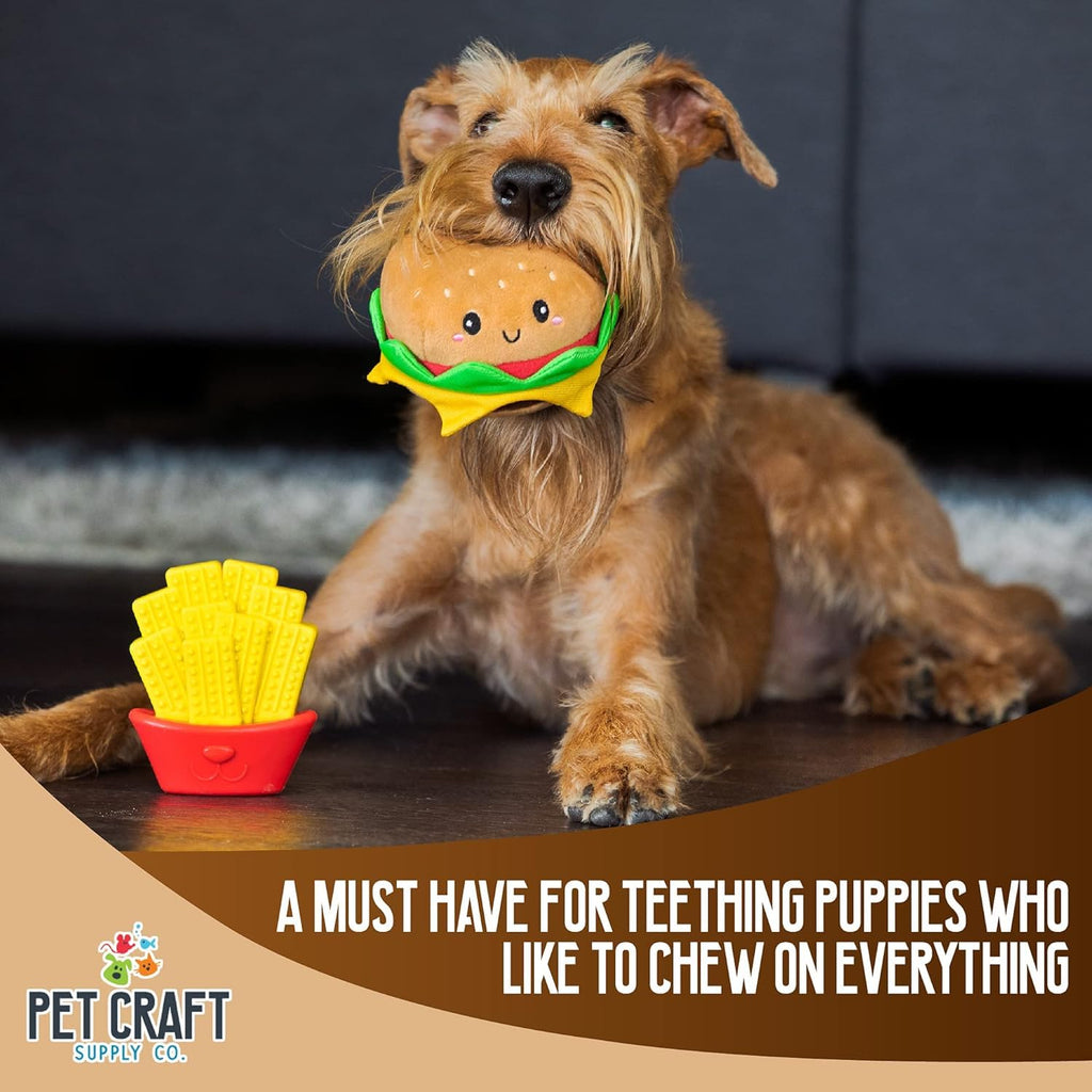 Nylon Squeaky Plush Dog Toys 2 Pack P4899