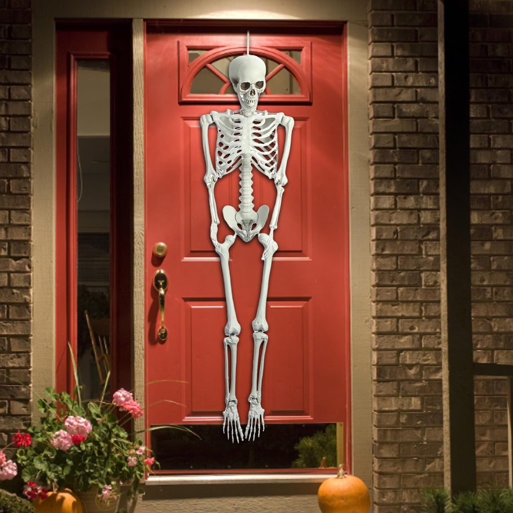 5.4FT Poseable Skeleton with Movable Joints Y9800