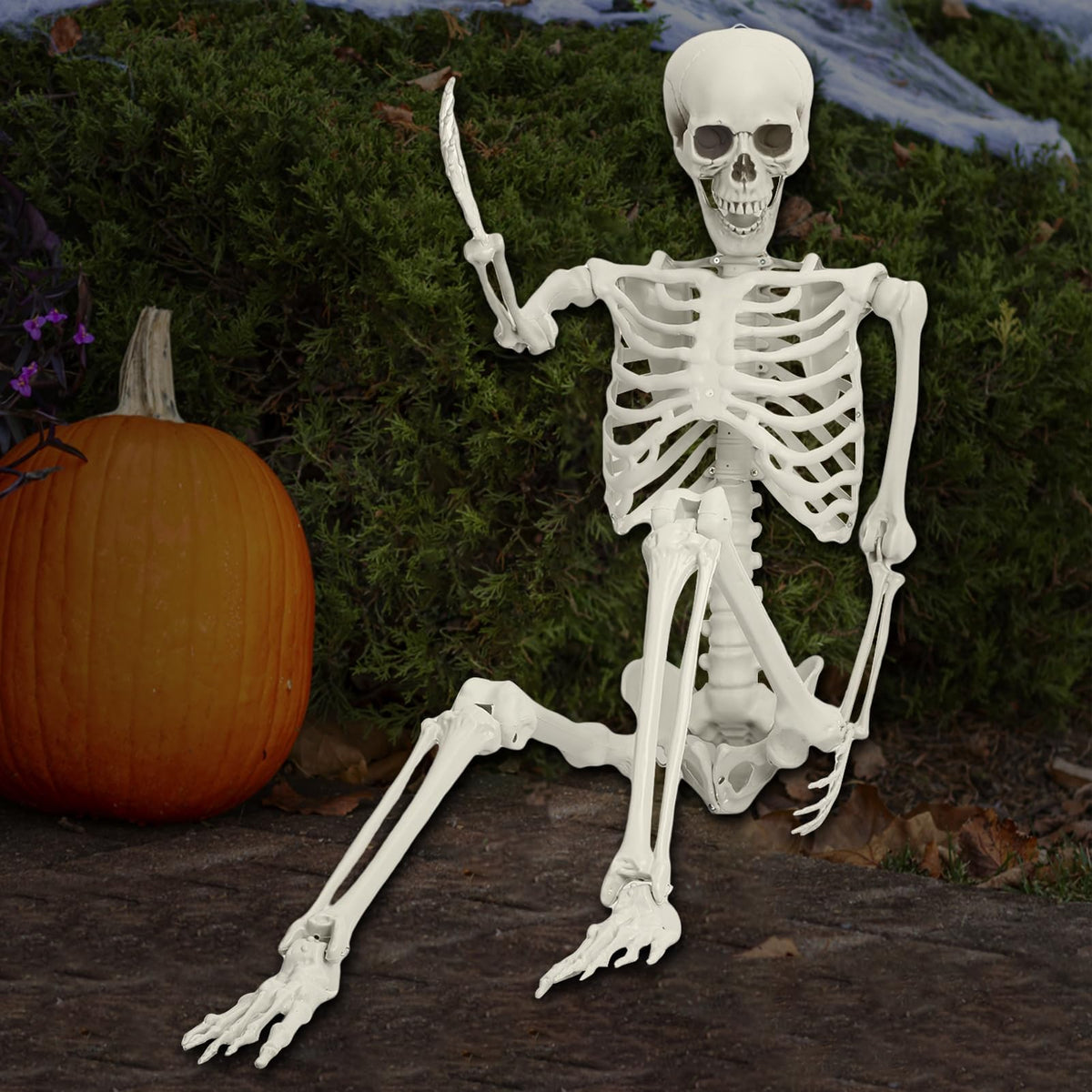 5.4FT Poseable Skeleton with Movable Joints Y9800