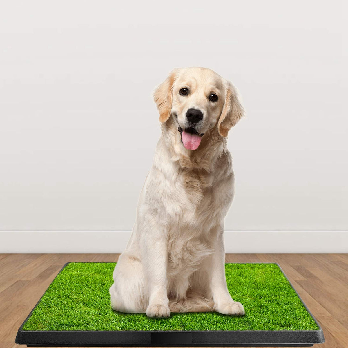 Indoor Dog Toilet Puppy Training Pad U677034