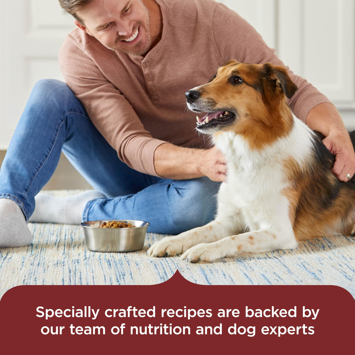 Dry Dog Food, Beef, Pea & Brown Rice, 40 lb. Bag F3348