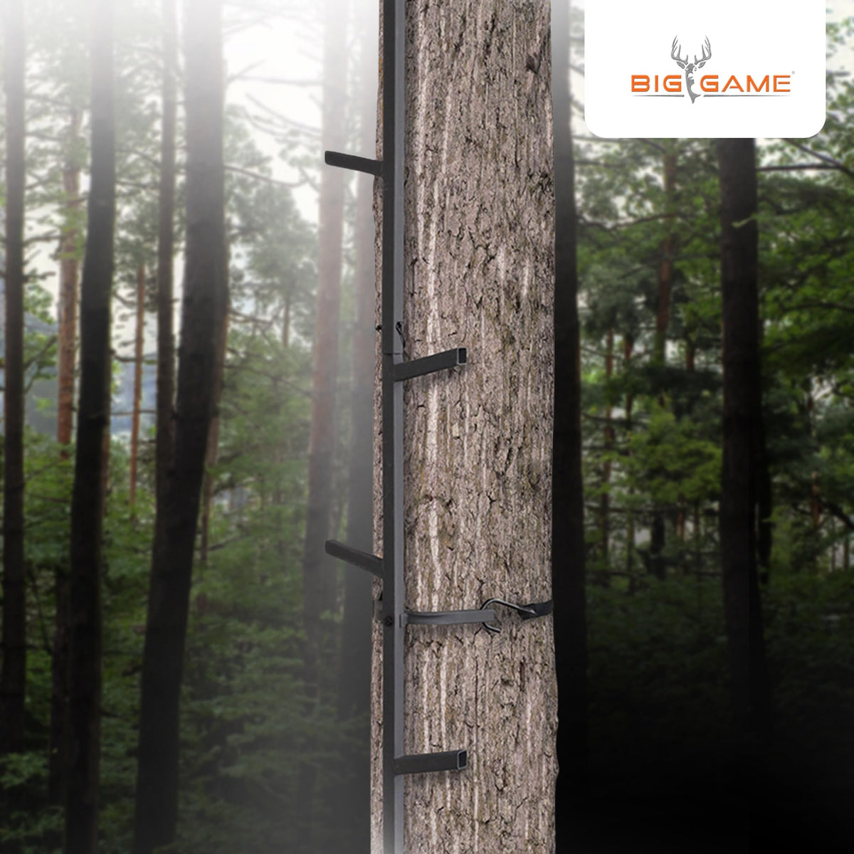 Climbing Ladder Sticks, 20’ Quick-Stick U5063