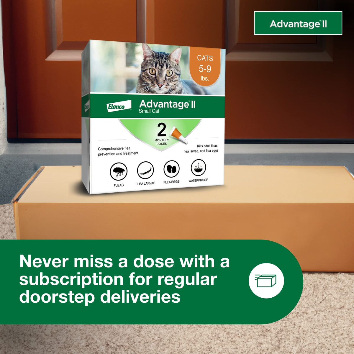 Advantage II Small Cat Topical Flea Treatment & Prevention, 2ct G510397