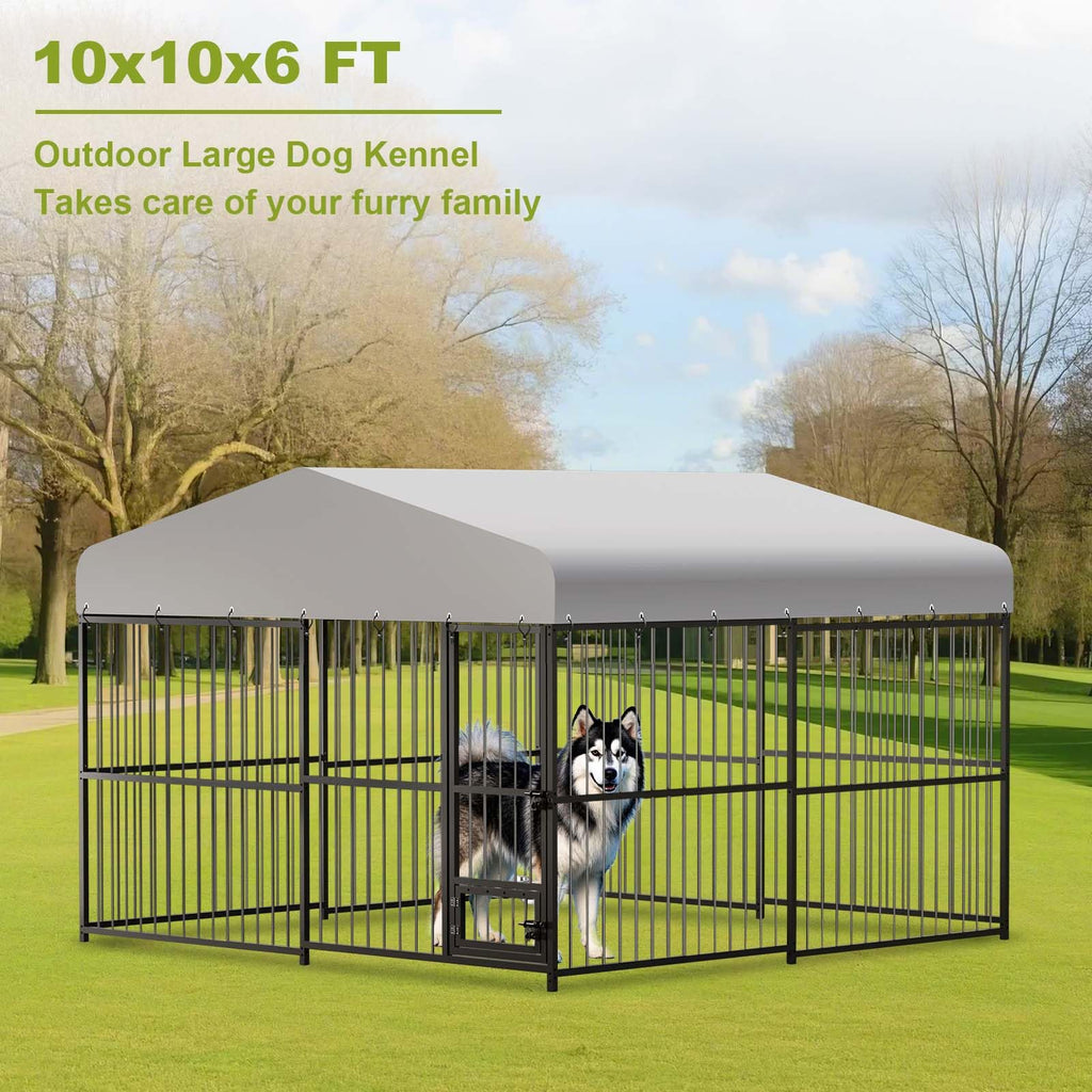 10 x 10FT Heavy Duty Metal Outdoor Dog Kennel with Roof K821