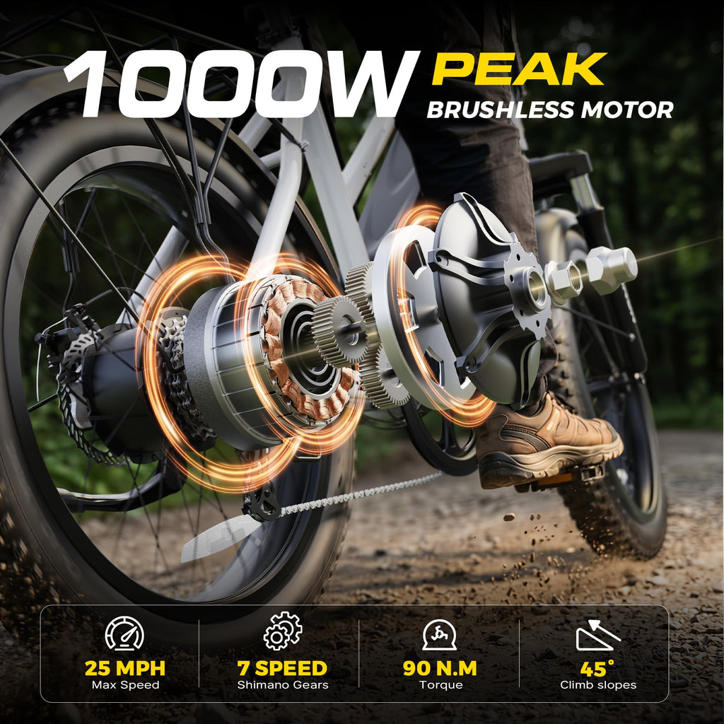 1000W Peak Motor 60+ Miles Fat Tire Electric Bike with 48V 13Ah Removable Battery K4570