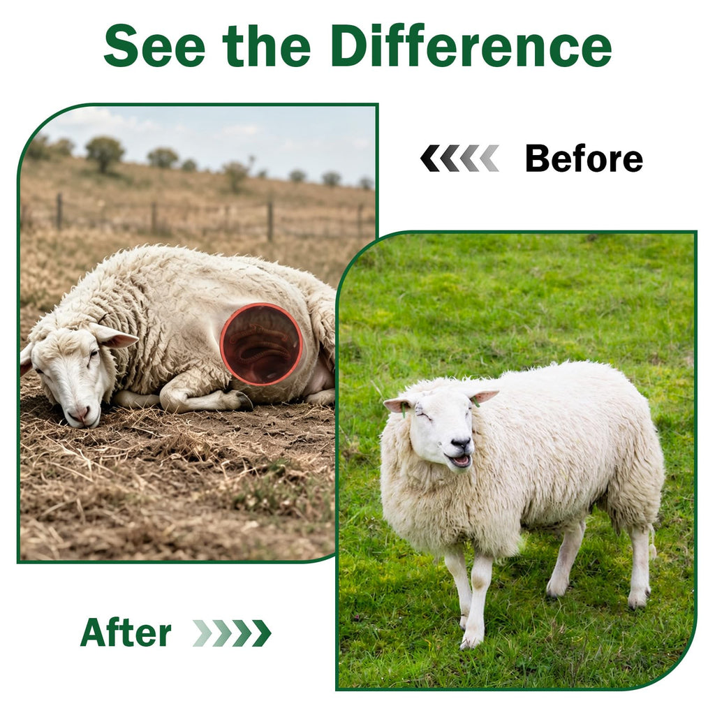 Liquid Dewormer with Fenbendazole K5964