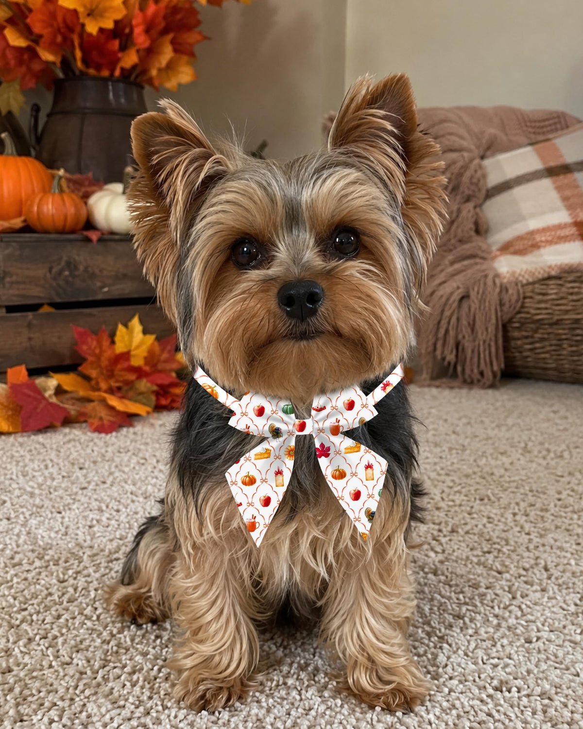 50 Pack Dog Bowties X927
