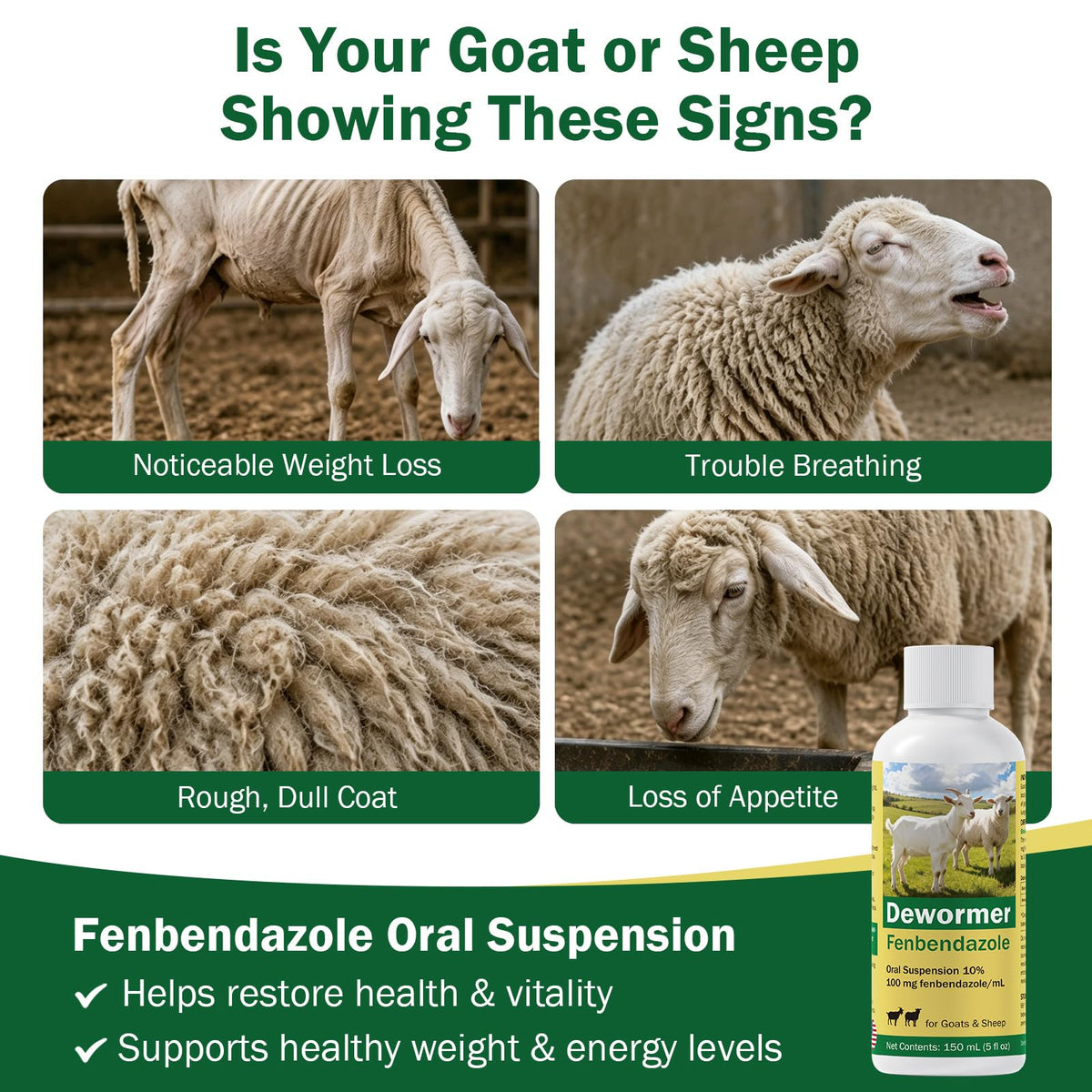 Liquid Dewormer with Fenbendazole K5964