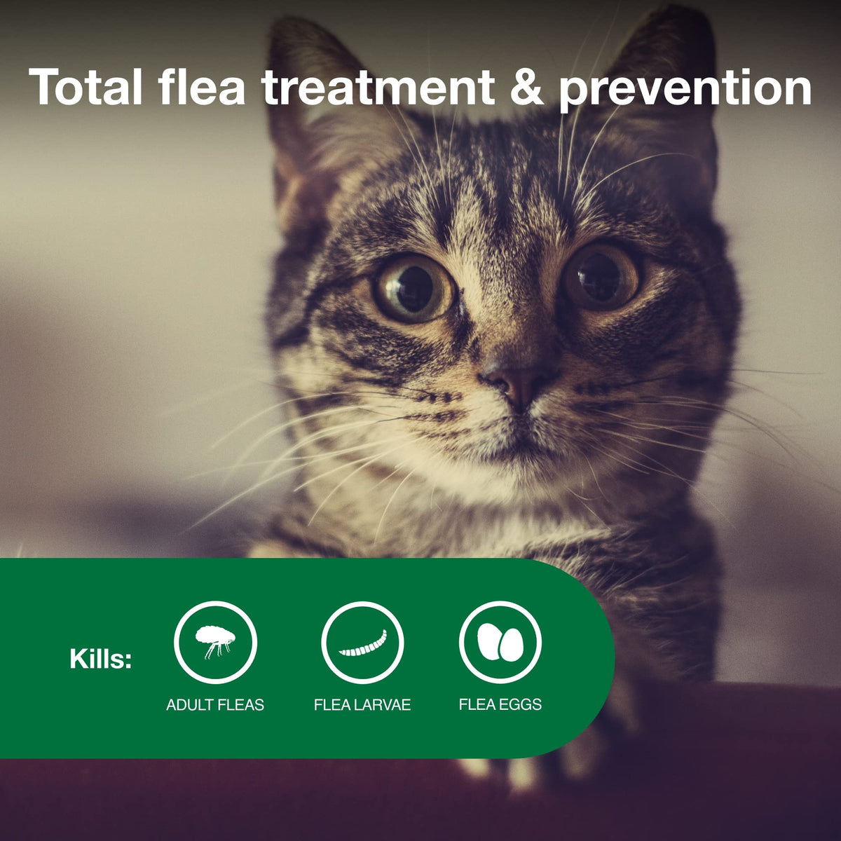 Advantage II Small Cat Topical Flea Treatment & Prevention, 2ct G510397