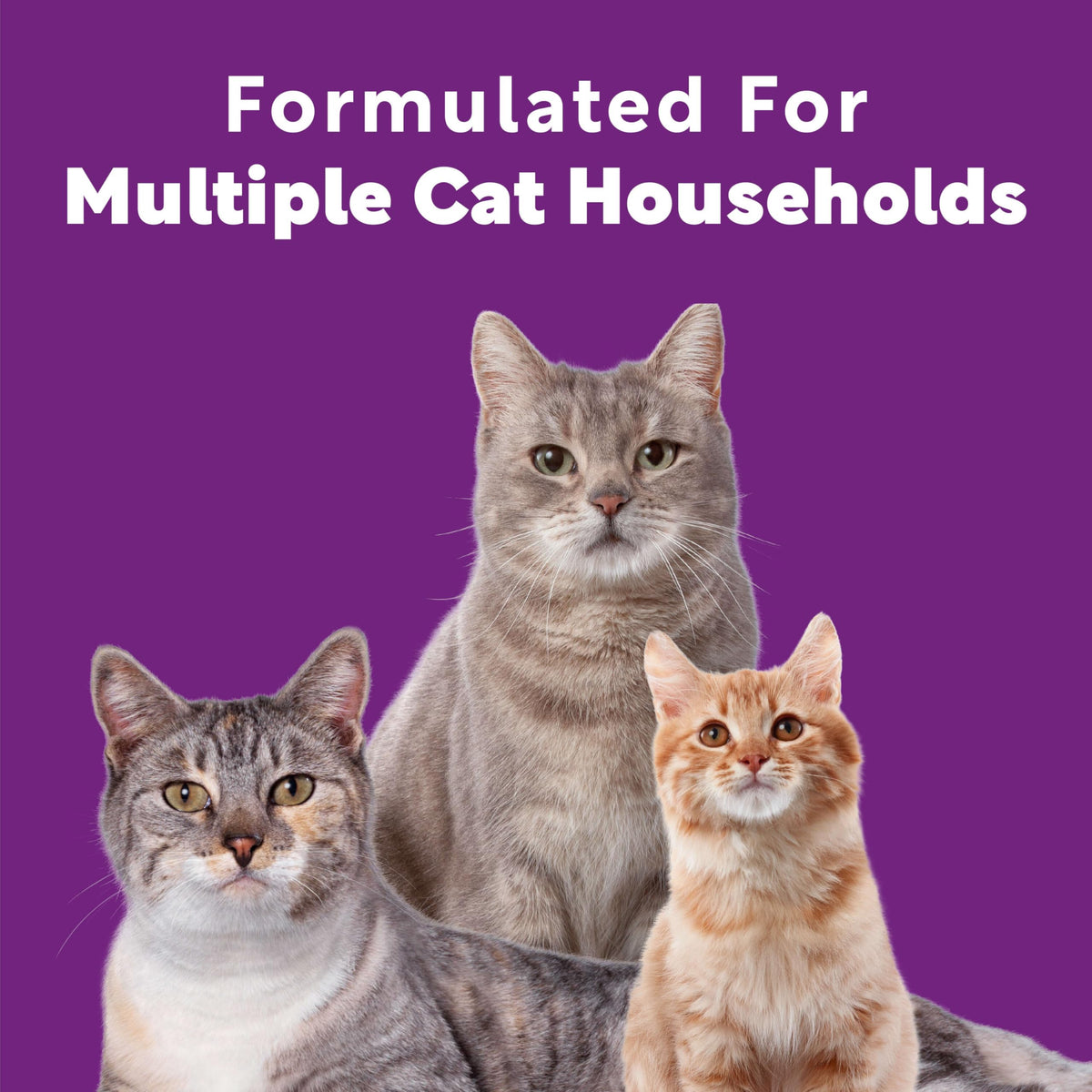 Multi Cat Clumping Cat Litter 18.5lb 2Pk G820