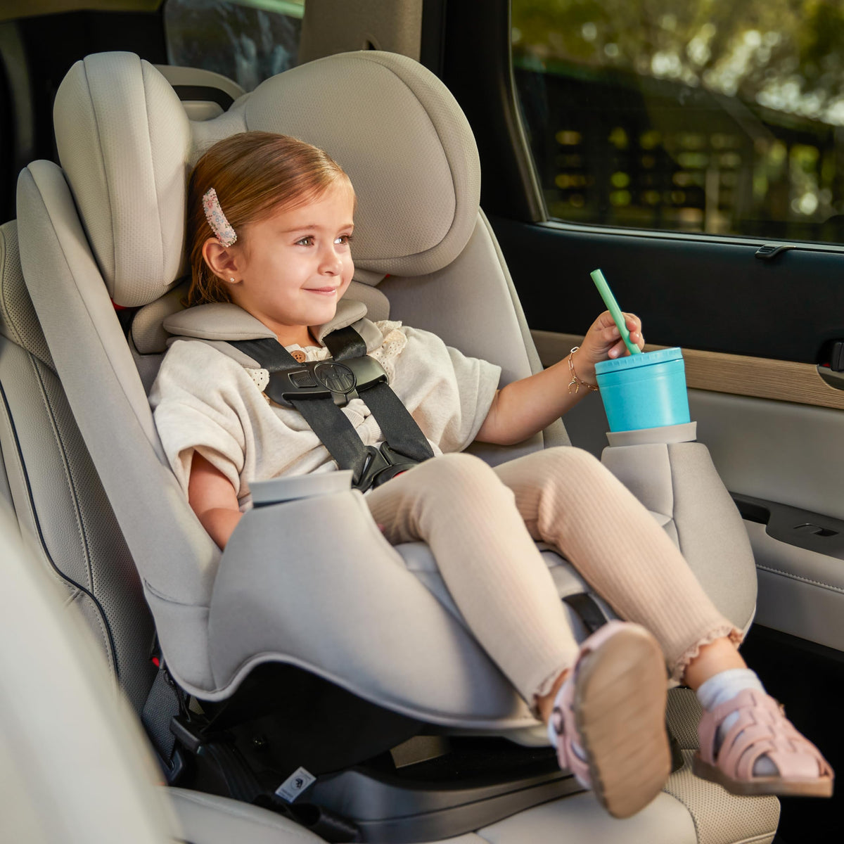 Convertible Car Seat, 5-100 lbs S973640