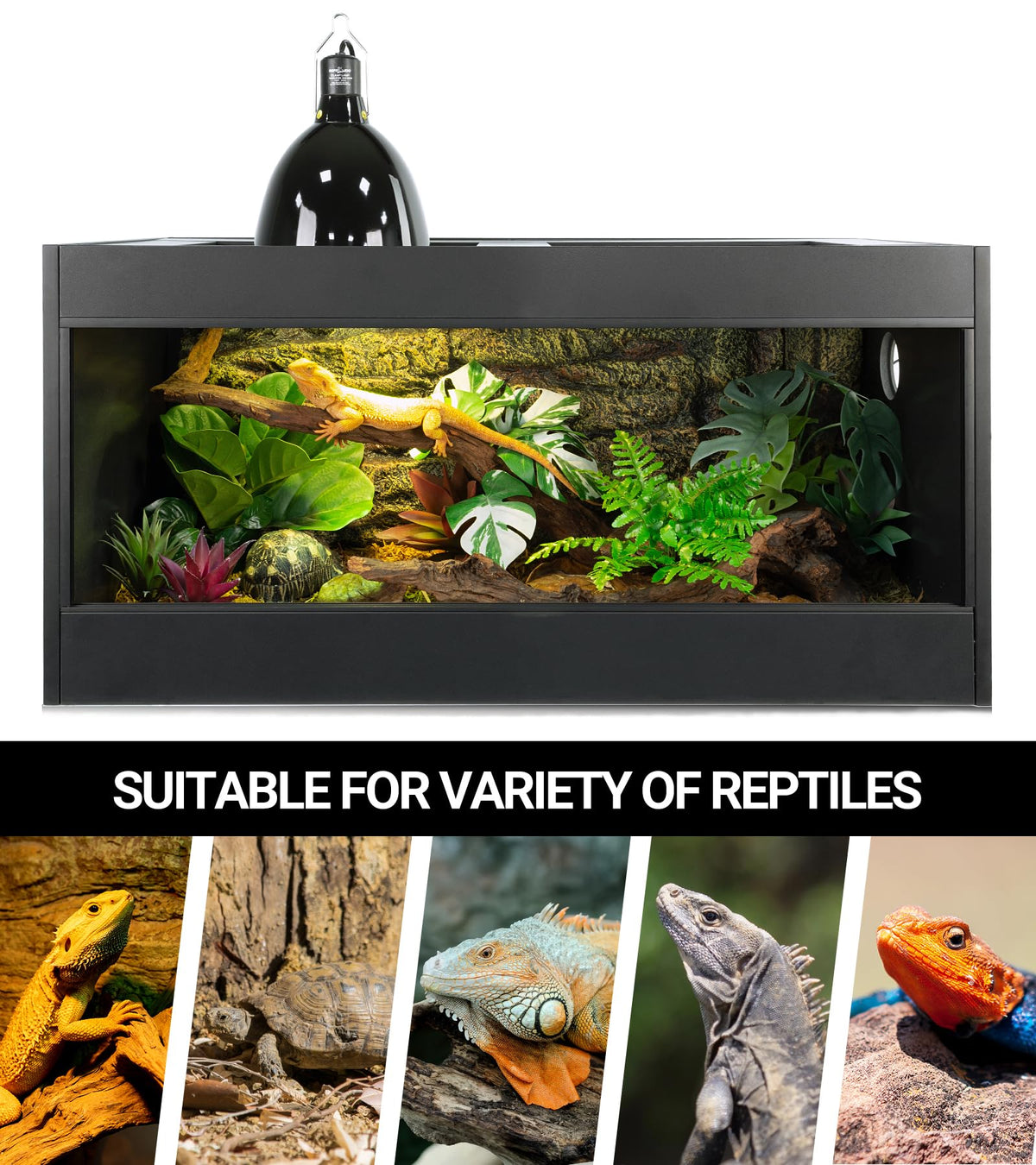 160W Reptile Heat Lamp UVA UVB Bulbs with 8.5 Inch Light Fixture D5576