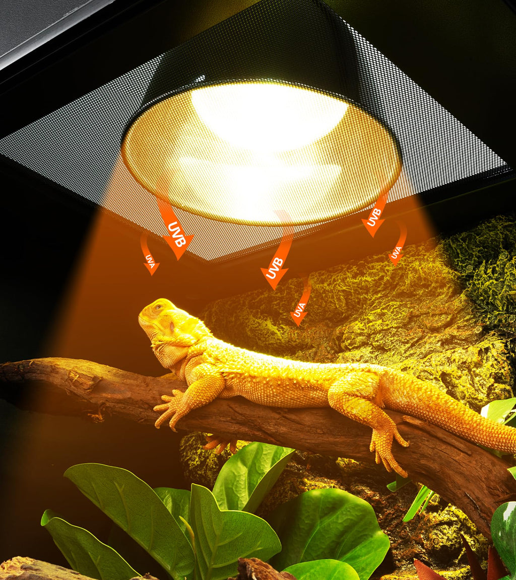 160W Reptile Heat Lamp UVA UVB Bulbs with 8.5 Inch Light Fixture D5576