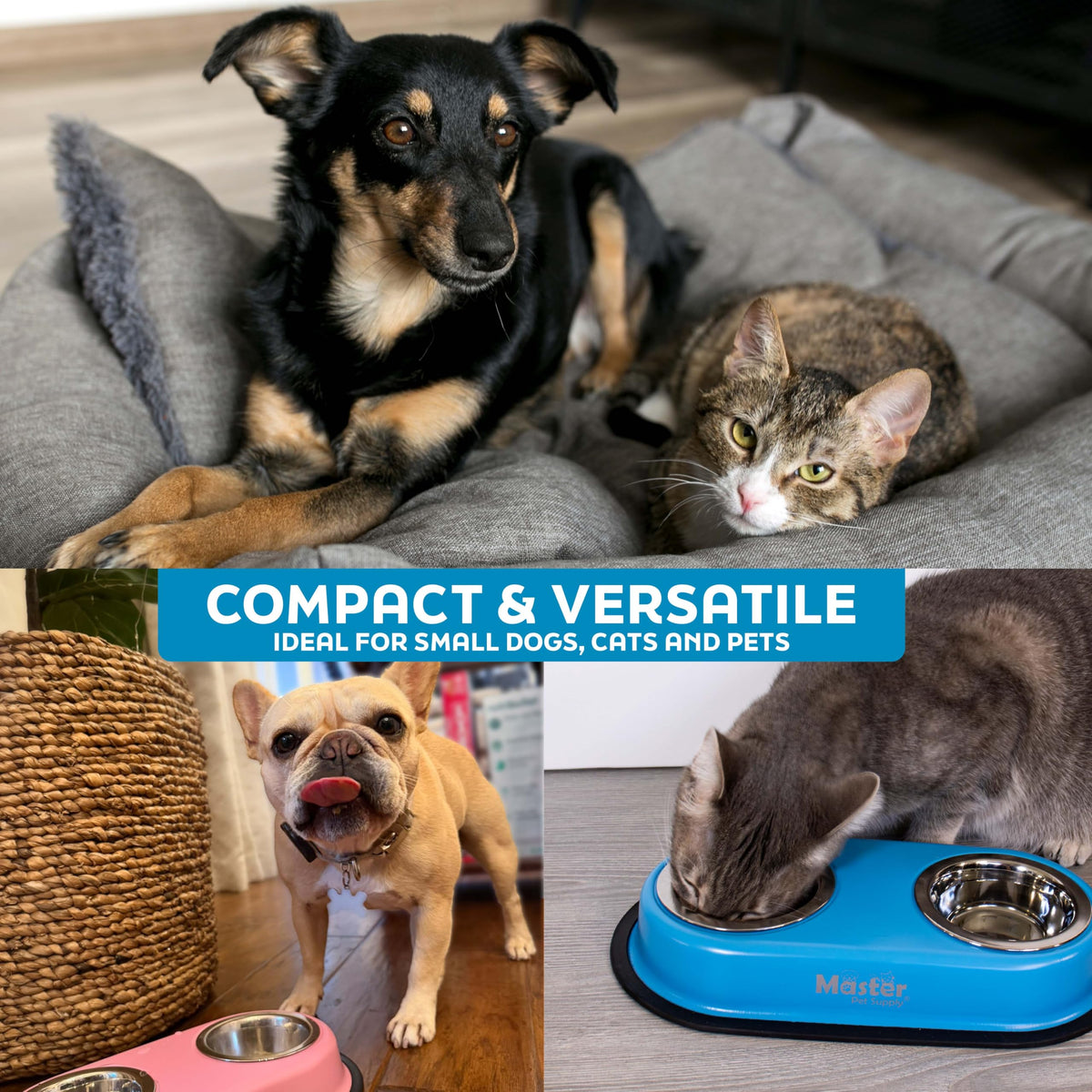 Double Dog Bowls Set with Elevated Base P822
