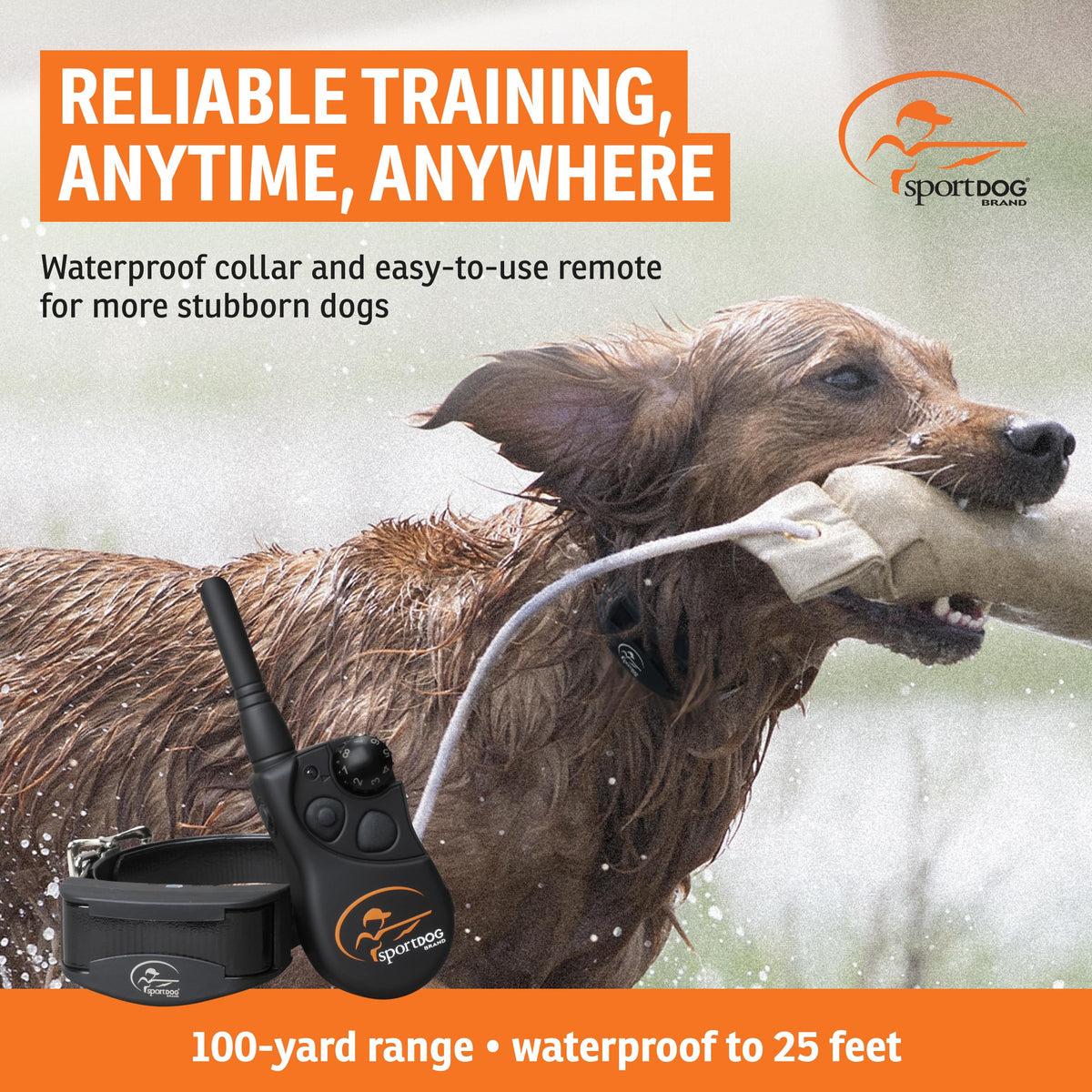 Remote Trainer 100-Yard Range J1666