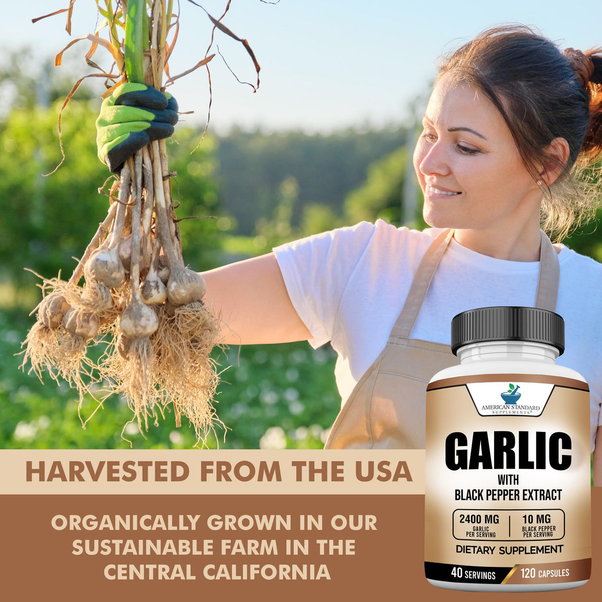 Garlic 2400mg with Black Pepper Fruit Extract 120 Capsules R1606
